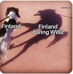 a dog standing on top of a sidewalk next to a person's shadow and the words finland during ww2