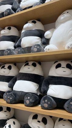 many stuffed panda bears are on shelves in a store, one is black and white