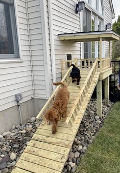 two dogs are walking up and down the stairs to their owner's house,