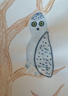 a drawing of an owl sitting on top of a tree branch in front of a white background