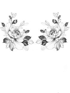 two black and white flowers on a white background