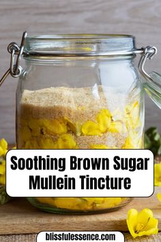 I found this amazing blog post about Mullein, and it turns out there's a potent tincture made from this plant! If you're interested in natural remedies, you should definitely check it out. Now, to decide between the tea or the tincture… 🤔 #MulleinTea #MulleinTincture Thyme Tincture Benefits, Mugolio Recipe, Mullein Leaf Tincture Recipe, Benefits Of Mullein Tea, Uses For Mullein, Menthol Crystals Uses, Tincture Recipes For Beginners, Mullein Cough Syrup Recipe, Natural Antacid Remedies