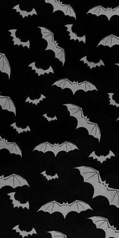 bats flying in the night sky on a black background