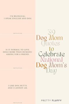 4 dog quotes memes next to title "39 Dog Mom Quotes to Celebrate National Dog Mom's Day" Dog Movies, I Like Dogs, Dog List, Cute Funny Dogs