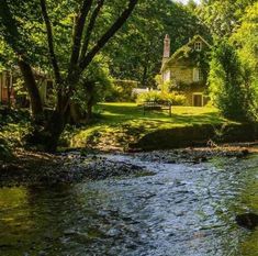 a river running through a lush green forest filled with lots of trees next to a house