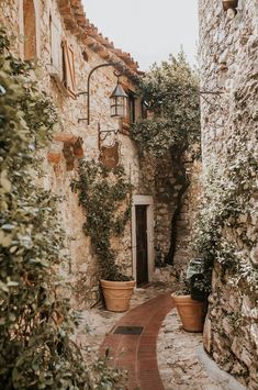 an alley way with potted plants on either side and stone buildings in the background