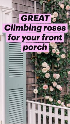 roses are growing on the side of a house