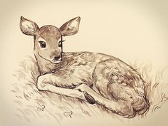 a drawing of a deer laying down in the grass