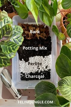 potting mix in a plastic container surrounded by plants