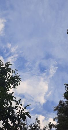 the sky is filled with clouds and some trees are in the foreground, as seen from below