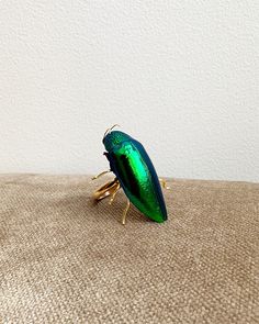 Victorian Beetle Ring Beetle Ring, Pin Legs, Brass Pin, Fashion Project, Beetles, Cruelty Free, Gold Filled, Brass, New York