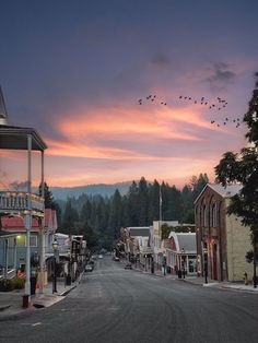 a street with buildings and birds flying in the sky at sunset or dawn over town