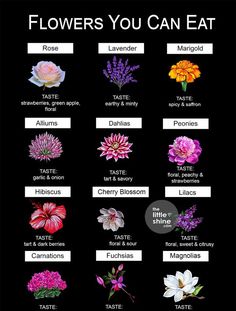 the flowers you can eat poster is shown in black and features different types of flowers