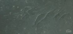 a close up view of the surface of a marble slab