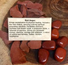 Tuesday Crystals, Plant Altar, Fend Shui, Crystal Alter, Raw Jewelry, Crystal Seashells, Rock Cycle, Red Jasper Stone