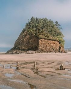 a rock formation on the beach with trees growing out of it