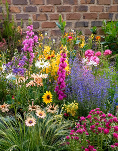 a garden filled with lots of colorful flowers next to a brick wall in the background