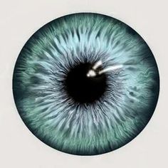 an eyeball with blue and green colors is seen in this image, it appears to be very large