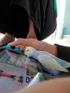 a bird sitting on top of a person's hand next to an electronic device