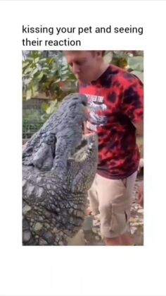 a young boy standing next to an alligator with the caption saying, kissing your pet and seeing their reaction