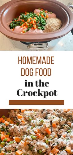 homemade dog food in the crockpot is an easy and delicious recipe for dogs