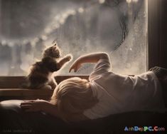 niño y gato jugando Meme Chat, Heartwarming Photos, Photography Animals, Arte Inspo, Cat Training, Nature Kids, Cat Care, Samoa, Cat Owners