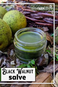 Black Walnut Syrup Recipe, Black Walnut Salve Recipe, Black Salve Recipe, Black Walnut, Black Drawing Salve Recipe, Black Walnut Salve, How To Make Black Walnut Tincture, Black Walnut Tincture Benefits, Black Walnut Tincture