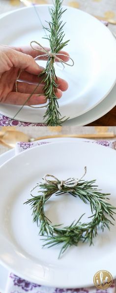 two plates with rosemary sprigs on them, one being tied to the other