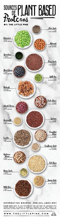 Say what?! There's protein in nuts, seeds, beans and grains? You betcha! And we've got a whole list of sources to share with you! Proteins Chart, Natural Meals, Plant Based Foods, Plant Based Protein Sources, Makanan Diet, Plant Based Eating, Wild Rice, Diet Keto, Vegan Foods