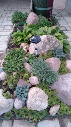 a garden with rocks and succulents on the ground next to a trash can