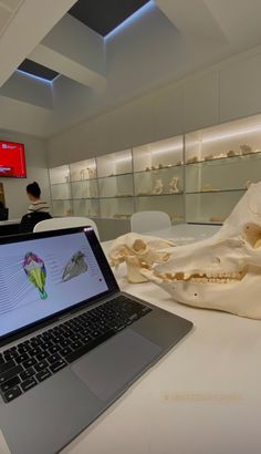 an open laptop computer sitting on top of a white table next to a human skull