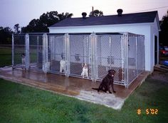 two dogs are sitting in their kennels outside