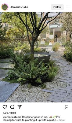 an image of a planter in the middle of a garden with rocks and gravel