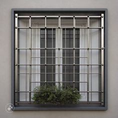 a window with bars on it and a potted plant in the window sill