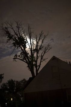 the moon shines brightly behind a tree on a cloudy night