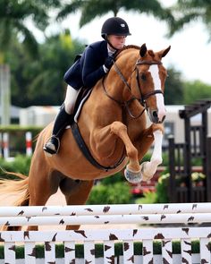 a woman riding on the back of a brown horse jumping over an obstacle with it's legs in the air