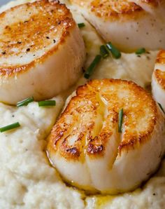 seared scallops on top of mashed potatoes