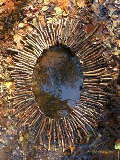 a circular piece of wood sitting on top of leaf covered ground next to leaves and water