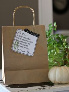 a brown paper bag sitting on top of a table next to a white pumpkin and potted plant