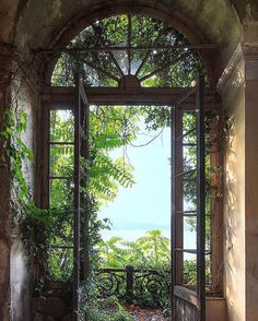 an open door leading into a lush green garden