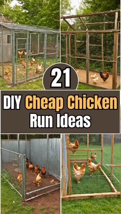 chicken coops with chickens in them and the words 21 diy cheap chicken run ideas