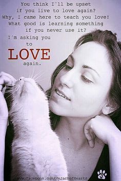 a woman holding a white cat in front of her face with the words love written on it