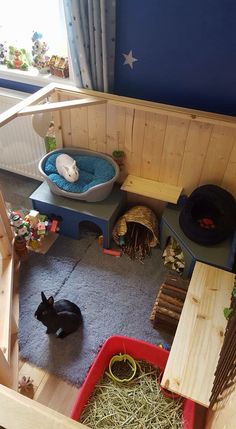 a cat house with two cats inside and one in the middle, while another sits on the floor