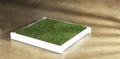 a white box with green grass in it