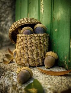 some nuts in a wicker basket on the ground next to a green wooden door