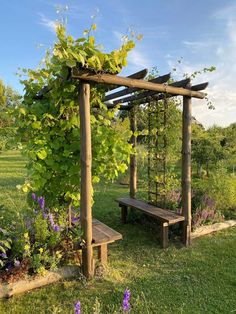 Gum Pole Pergola, Tree Trunk Pergola, Arbor Garden Ideas, Rustic Pergola Ideas, Small Pergola Ideas, Green Pergola, Garden Veranda Ideas, Square Pergola, Garden Pergola Ideas