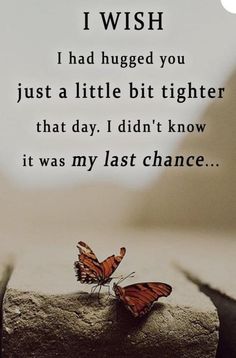 a butterfly sitting on top of a rock next to a quote that reads, i wish i had hugged you just a little bit higher than that day