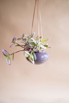 a hanging planter filled with purple flowers