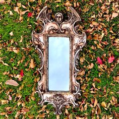 a mirror sitting in the grass surrounded by leaves