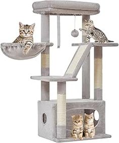 two cats sitting on top of a cat tree